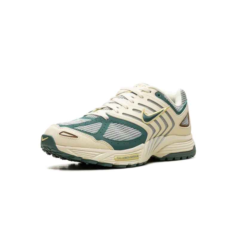 Nike Air Pegasus 2K5 Bicoastal Mens