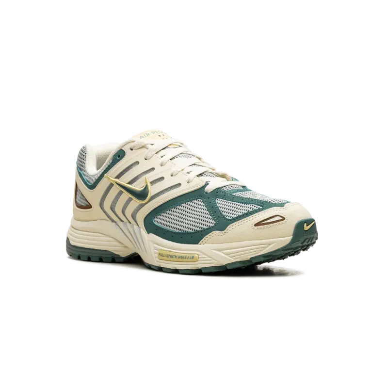 Nike Air Pegasus 2K5 Bicoastal Mens