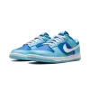 Nike Dunk Low Argon 2022 Mens