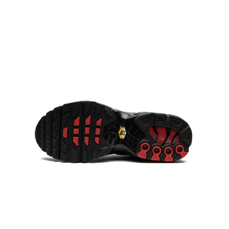 Nike Air Max Plus GS Grade School