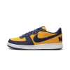 Nike Terminator Low OG Michigan Mens