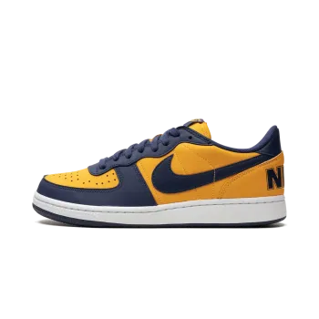Nike Terminator Low OG Michigan Mens
