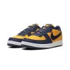 Nike Terminator Low OG Michigan Mens