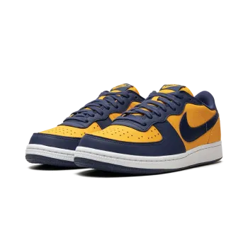 Nike Terminator Low OG Michigan Mens