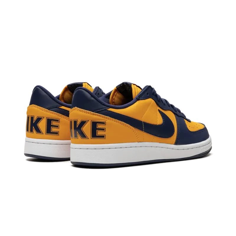 Nike Terminator Low OG Michigan Mens
