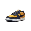 Nike Terminator Low OG Michigan Mens