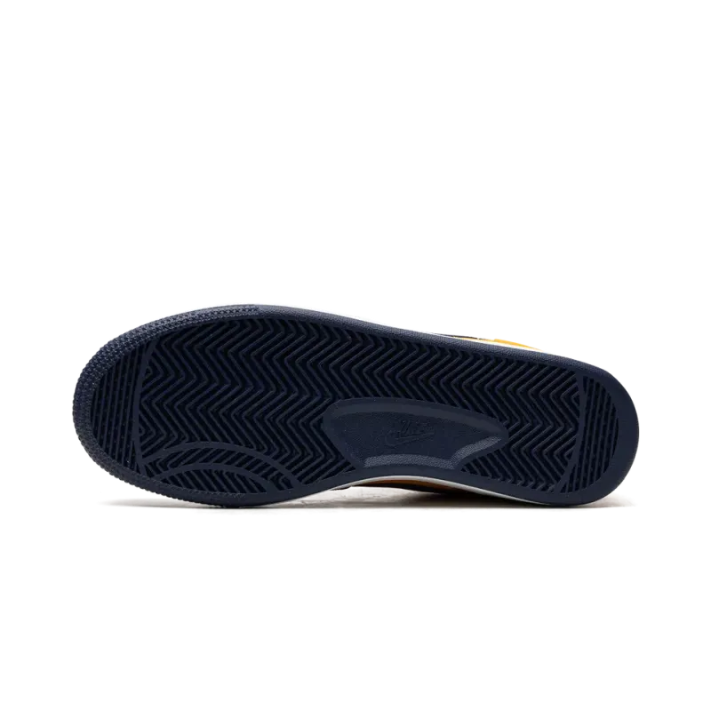 Nike Terminator Low OG Michigan Mens