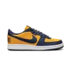 Nike Terminator Low OG Michigan Mens