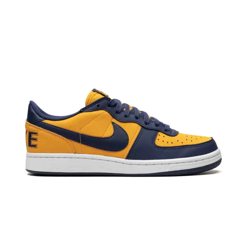 Nike Terminator Low OG Michigan Mens