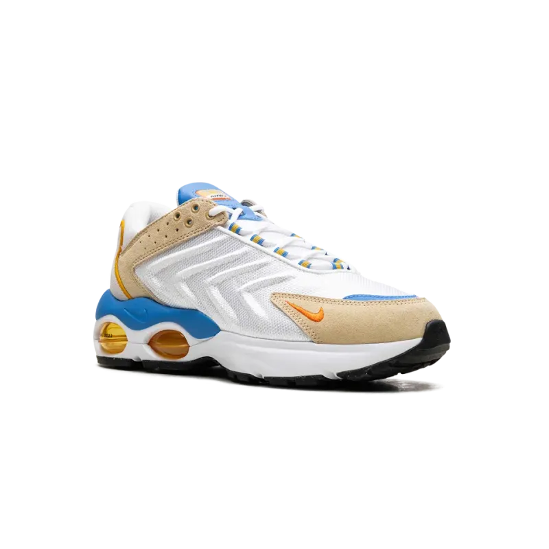 Nike Air Max TW Frank Rudy Mens