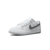 Nike Dunk Low SE Winter Storm Mens