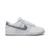 Nike Dunk Low SE Winter Storm Mens
