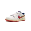 Nike Dunk Low Retro Lettering Mens