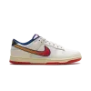 Nike Dunk Low Retro Lettering Mens