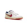 Nike Dunk Low Retro Lettering Mens