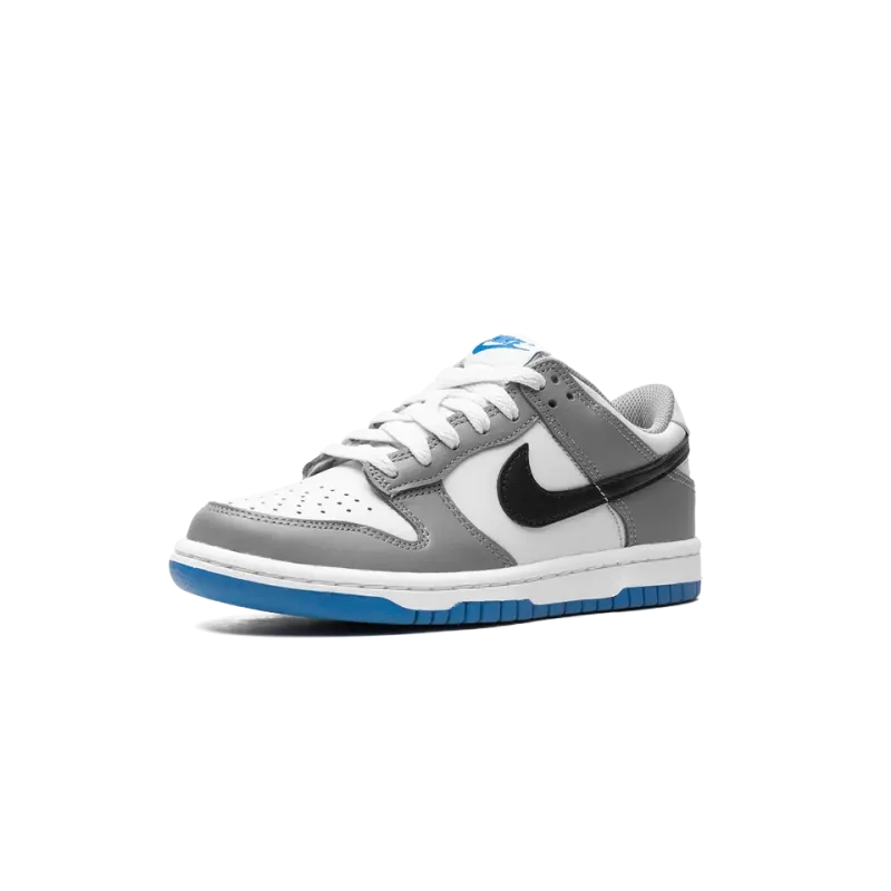 Nike Dunk Low GS Grey/Blue Grade School