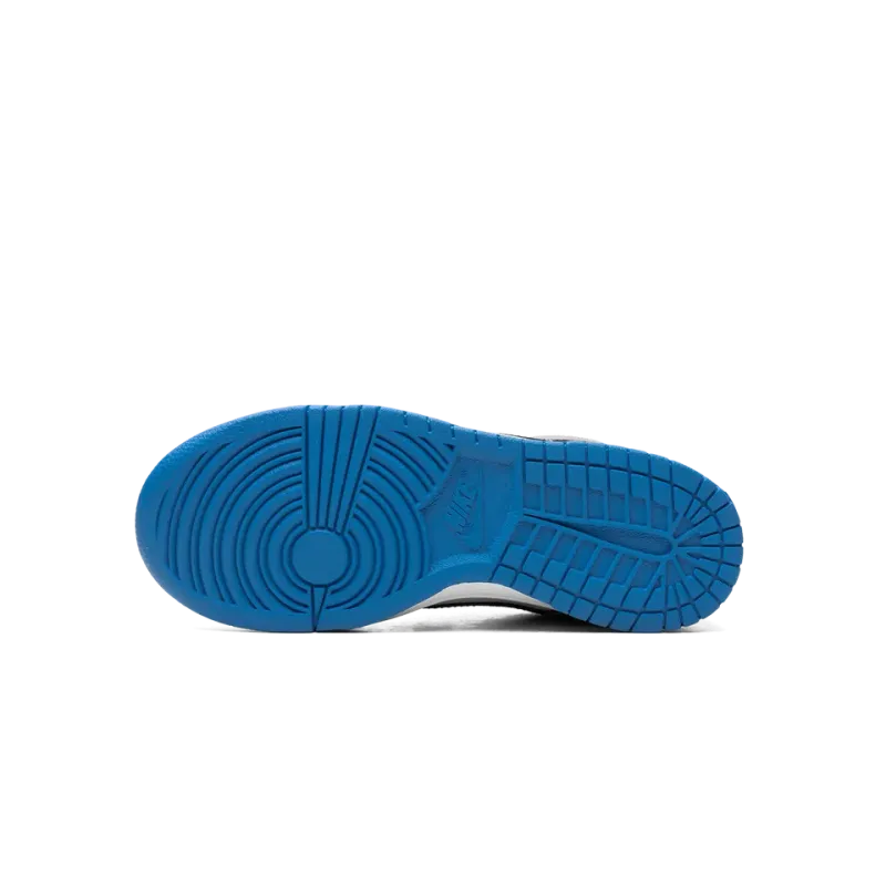 Nike Dunk Low GS Grey/Blue Grade School