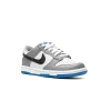 Nike Dunk Low GS Grey/Blue Grade School
