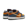 Nike SB Dunk Low Pro Light Carbon Mens