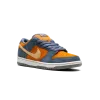 Nike SB Dunk Low Pro Light Carbon Mens