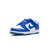 Nike Dunk Low GS Kentucky Grade School