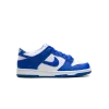 Nike Dunk Low GS Kentucky Grade School