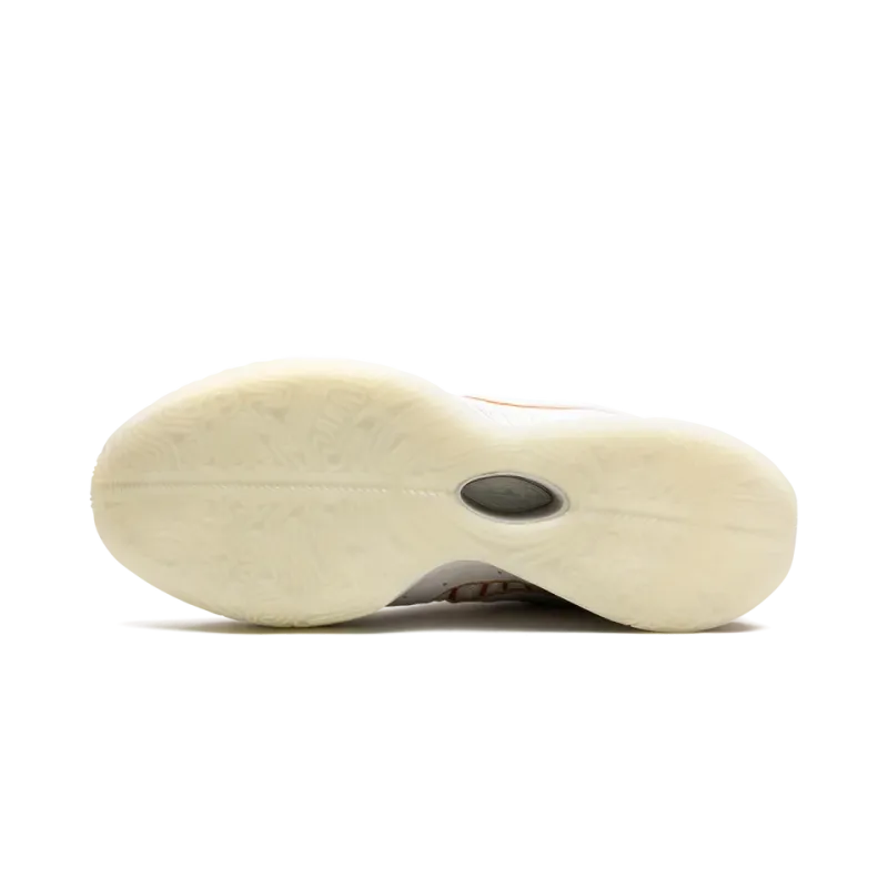 Nike LeBron 21 Akoya Mens