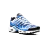 Nike Air Max Plus Light Streaks Mens