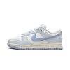 Nike DUNK LO NEXT NATURE WMNS Blue Tint Womens