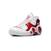Nike Air Zoom Flight 95 True Red Mens