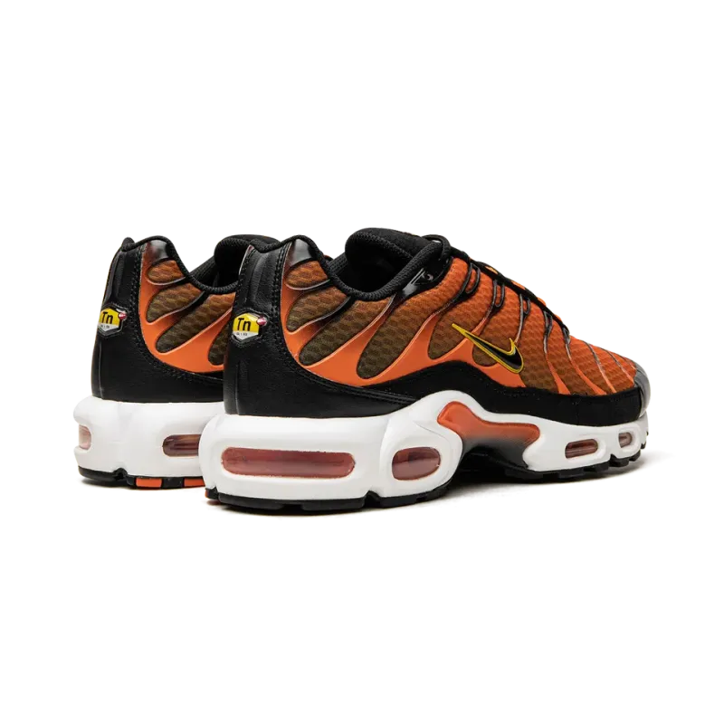 Nike Air Max Plus Mens