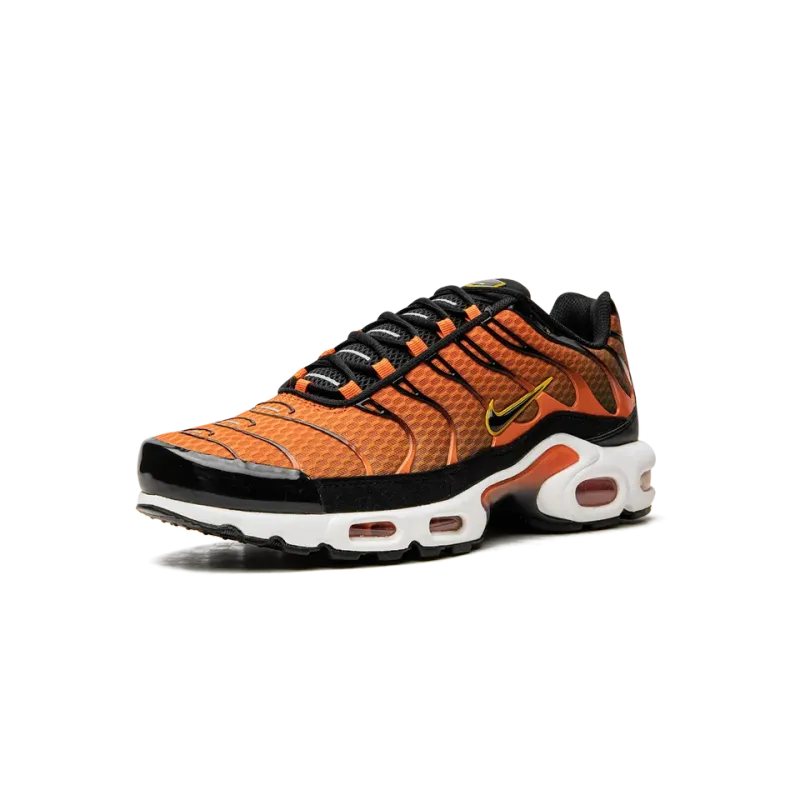 Nike Air Max Plus Mens
