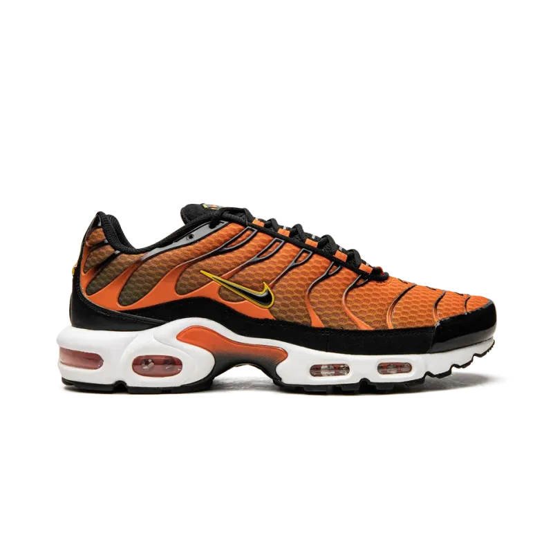 Nike Air Max Plus Mens