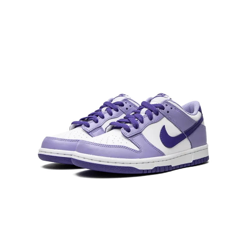 Nike Dunk Low GS Blueberry Grade School