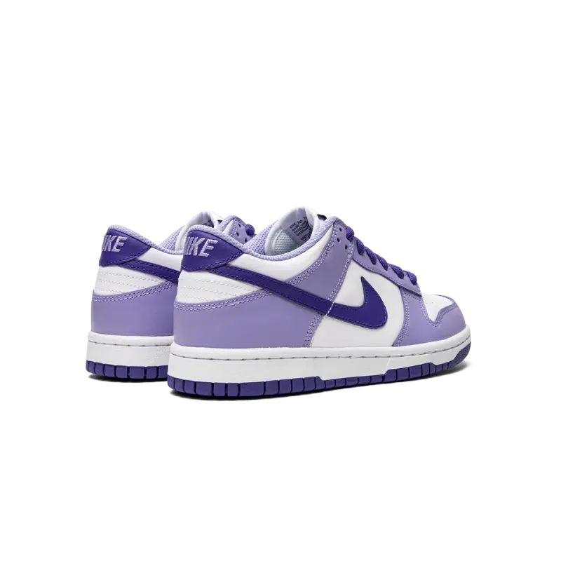 Nike Dunk Low GS Blueberry Grade School