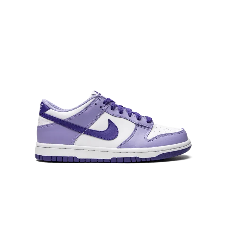 Nike Dunk Low GS Blueberry Grade School