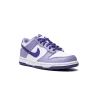 Nike Dunk Low GS Blueberry Grade School