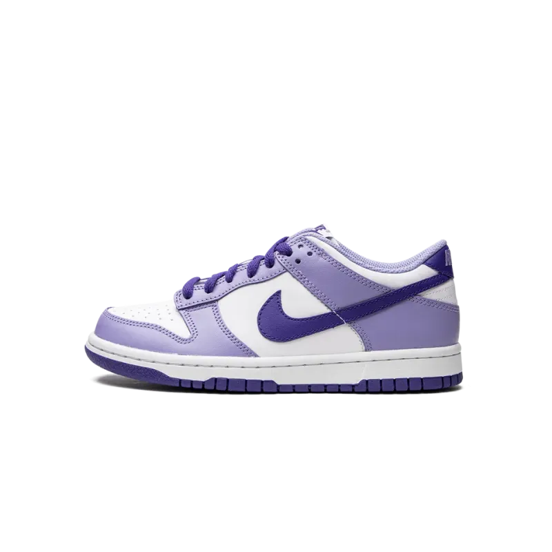 Nike Dunk Low GS Blueberry Grade School