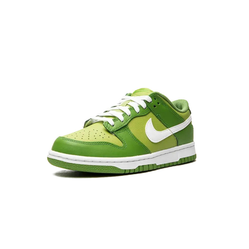 Nike Dunk Low GS Dark Chlorophyll Grade School