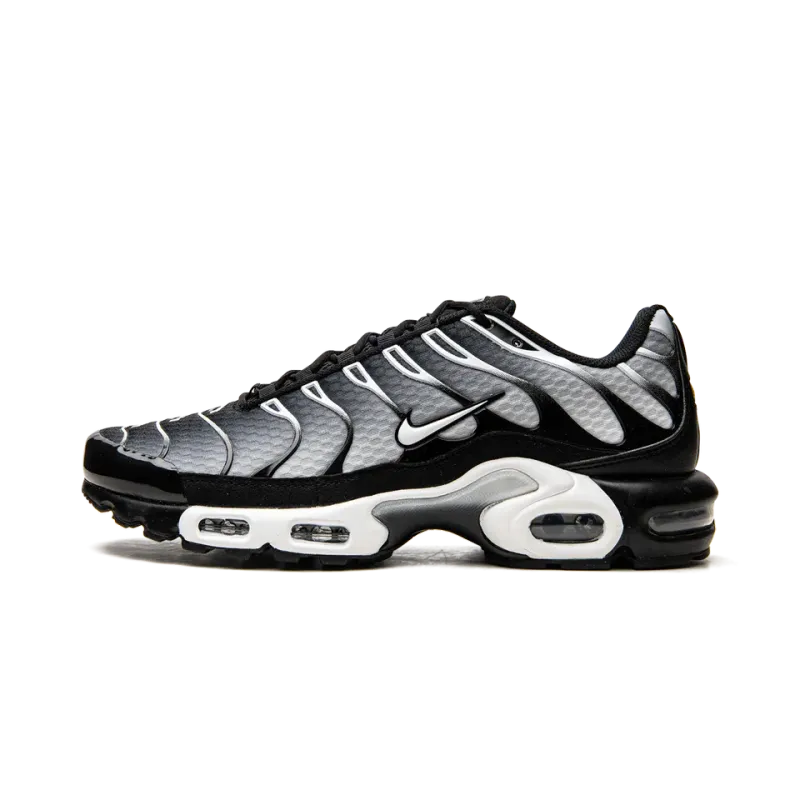 Nike Air Max Plus Black / Silver Mens