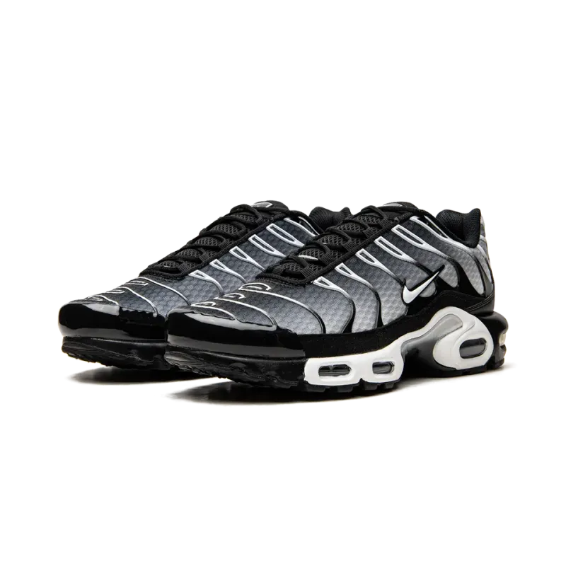 Nike Air Max Plus Black / Silver Mens
