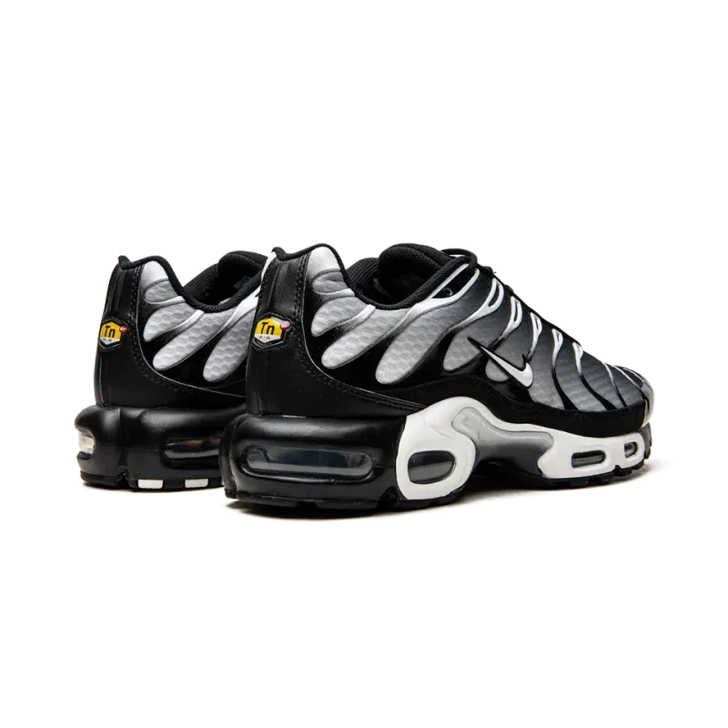 Nike Air Max Plus Black / Silver Mens
