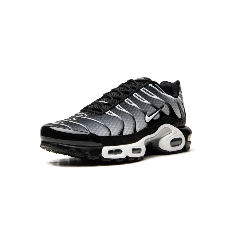 Nike Air Max Plus Black / Silver Mens