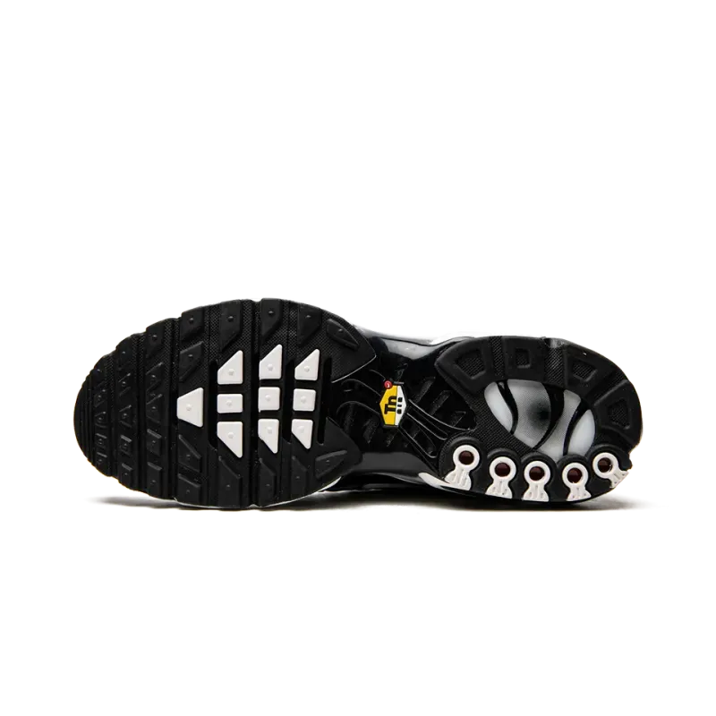 Nike Air Max Plus Black / Silver Mens