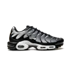 Nike Air Max Plus Black / Silver Mens