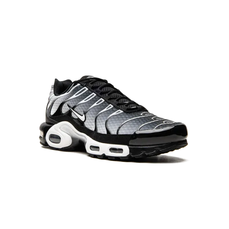 Nike Air Max Plus Black / Silver Mens