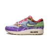 Nike Air Max 1 SP Concepts - Wild Violet - Special Box Mens