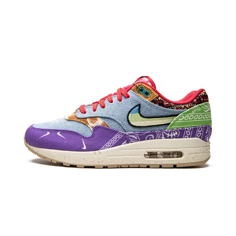 Nike Air Max 1 SP Concepts - Wild Violet - Special Box Mens