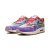 Nike Air Max 1 SP Concepts - Wild Violet - Special Box Mens