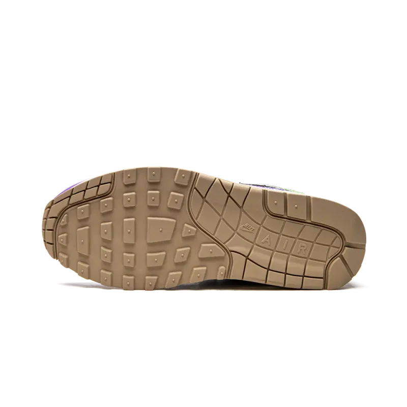 Nike Air Max 1 SP Concepts - Wild Violet - Special Box Mens